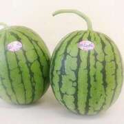 ヒメ日記 2025/06/26 21:26 投稿 叶さき セクシーキャット 神田店