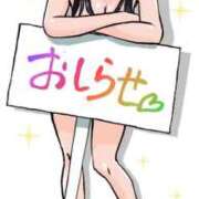 ヒメ日記 2025/07/01 08:08 投稿 叶さき セクシーキャット 神田店