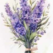 ヒメ日記 2025/07/05 06:13 投稿 叶さき セクシーキャット 神田店