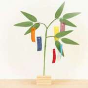 ヒメ日記 2025/07/07 08:42 投稿 叶さき セクシーキャット 神田店