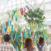 ヒメ日記 2025/07/07 16:10 投稿 叶さき セクシーキャット 神田店