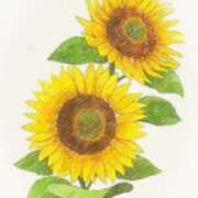 ヒメ日記 2025/07/18 06:20 投稿 叶さき セクシーキャット 神田店