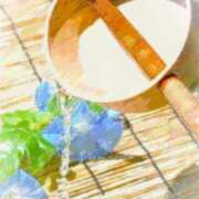 ヒメ日記 2025/07/31 06:14 投稿 叶さき セクシーキャット 神田店