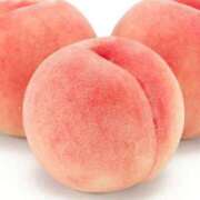 ヒメ日記 2025/08/11 04:26 投稿 叶さき セクシーキャット 神田店