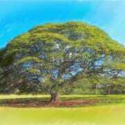 ヒメ日記 2025/09/07 06:24 投稿 叶さき セクシーキャット 神田店