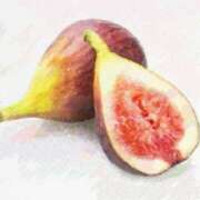 ヒメ日記 2025/09/13 06:19 投稿 叶さき セクシーキャット 神田店