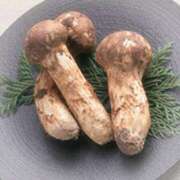 ヒメ日記 2025/09/16 20:44 投稿 叶さき セクシーキャット 神田店