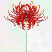 ヒメ日記 2025/09/27 06:04 投稿 叶さき セクシーキャット 神田店