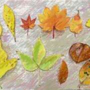 ヒメ日記 2025/10/26 06:23 投稿 叶さき セクシーキャット 神田店