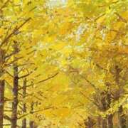 ヒメ日記 2025/10/29 06:09 投稿 叶さき セクシーキャット 神田店