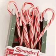 ヒメ日記 2025/11/26 16:57 投稿 叶さき セクシーキャット 神田店