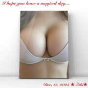 ヒメ日記 2025/12/12 08:17 投稿 叶さき セクシーキャット 神田店