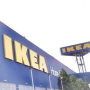 ヒメ日記 2026/02/17 15:43 投稿 叶さき セクシーキャット 神田店