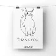 ヒメ日記 2026/02/22 21:05 投稿 叶さき セクシーキャット 神田店