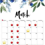 ヒメ日記 2026/03/01 06:23 投稿 叶さき セクシーキャット 神田店