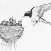 ヒメ日記 2026/03/26 06:00 投稿 叶さき セクシーキャット 神田店