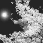 ヒメ日記 2026/03/28 06:11 投稿 叶さき セクシーキャット 神田店