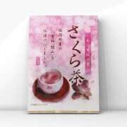 ヒメ日記 2026/03/31 18:02 投稿 叶さき セクシーキャット 神田店