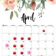 ヒメ日記 2026/04/01 06:12 投稿 叶さき セクシーキャット 神田店