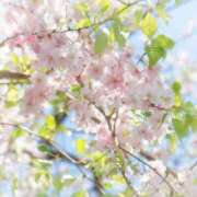 ヒメ日記 2026/04/06 15:04 投稿 叶さき セクシーキャット 神田店