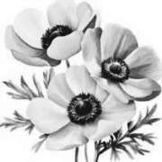 ヒメ日記 2026/04/09 06:00 投稿 叶さき セクシーキャット 神田店