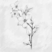 ヒメ日記 2026/04/23 06:02 投稿 叶さき セクシーキャット 神田店