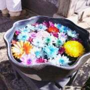 ヒメ日記 2024/12/13 05:26 投稿 倉科かの 全裸革命orおもいっきり痴漢電車