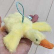 ヒメ日記 2025/03/25 13:19 投稿 倉科かの 全裸革命orおもいっきり痴漢電車