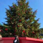 ヒメ日記 2025/03/29 08:09 投稿 倉科かの 全裸革命orおもいっきり痴漢電車