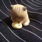 ヒメ日記 2025/11/02 13:37 投稿 倉科かの 全裸革命orおもいっきり痴漢電車