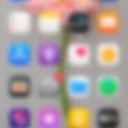 ヒメ日記 2026/01/29 18:45 投稿 くれあ(くれあ) ロケットワイフ