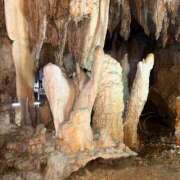 ヒメ日記 2025/07/15 18:02 投稿 れん アラモード