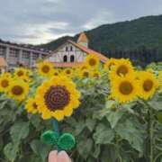 ヒメ日記 2025/08/13 22:58 投稿 れん アラモード