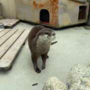 ヒメ日記 2025/12/29 22:08 投稿 れん アラモード