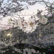 ヒメ日記 2026/04/13 19:07 投稿 れん アラモード