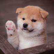 ヒメ日記 2025/04/18 06:00 投稿 くるみ 熟女家 十三店