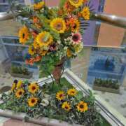 ヒメ日記 2025/06/19 19:15 投稿 くるみ 熟女家 十三店