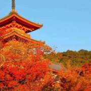 ヒメ日記 2025/10/05 17:53 投稿 くるみ 熟女家 十三店