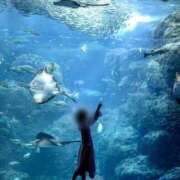 ヒメ日記 2025/11/20 07:16 投稿 くるみ 熟女家 十三店