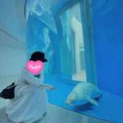 ヒメ日記 2025/11/25 15:08 投稿 くるみ 熟女家 十三店