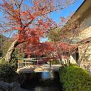 ヒメ日記 2025/12/07 12:50 投稿 くるみ 熟女家 十三店