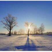 ヒメ日記 2025/12/21 06:20 投稿 くるみ 熟女家 十三店