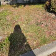 ヒメ日記 2026/01/29 10:56 投稿 くるみ 熟女家 十三店