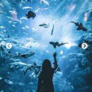 ヒメ日記 2026/01/31 15:15 投稿 くるみ 熟女家 十三店