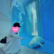 ヒメ日記 2026/02/03 09:15 投稿 くるみ 熟女家 十三店