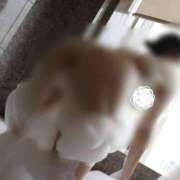 ヒメ日記 2026/02/04 13:45 投稿 くるみ 熟女家 十三店