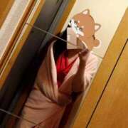 ヒメ日記 2026/02/16 08:45 投稿 くるみ 熟女家 十三店