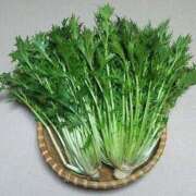 ヒメ日記 2026/03/28 18:24 投稿 くるみ 熟女家 十三店