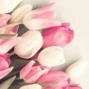 ヒメ日記 2024/12/09 21:16 投稿 七瀬　ゆかり プルプル人妻専門店