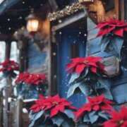 ヒメ日記 2024/12/19 22:34 投稿 七瀬　ゆかり プルプル人妻専門店